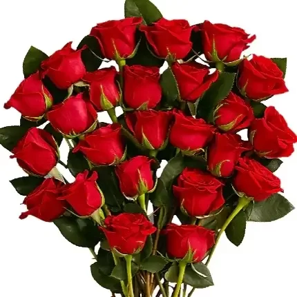 ROSES ROUGE