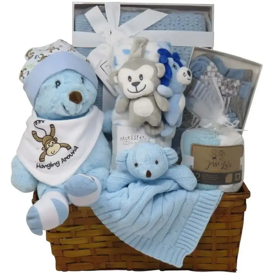 Bienvenue nouveau bébé garçon  Baby Gift Baskets au Royaume-Uni