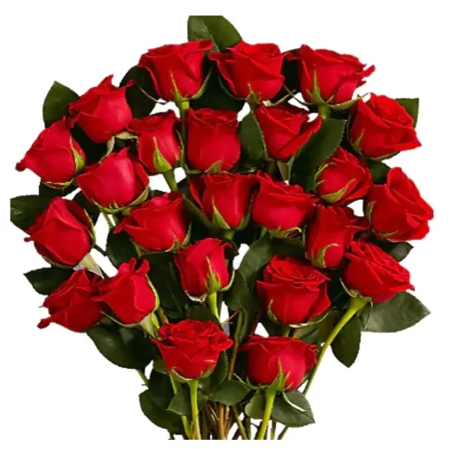 21 Roses Rouges à longue tige