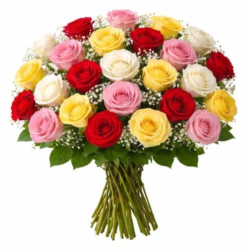 Roses - 2 couleurs mélangées