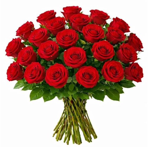 21 Roses Rouges à longue tige